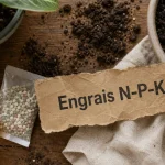 Engrais plantes d intérieur N-P-K : nourrit sans brûler les racines