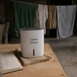 Test déshumidificateur que choisir : compresseur absorption ou Peltier en buanderie