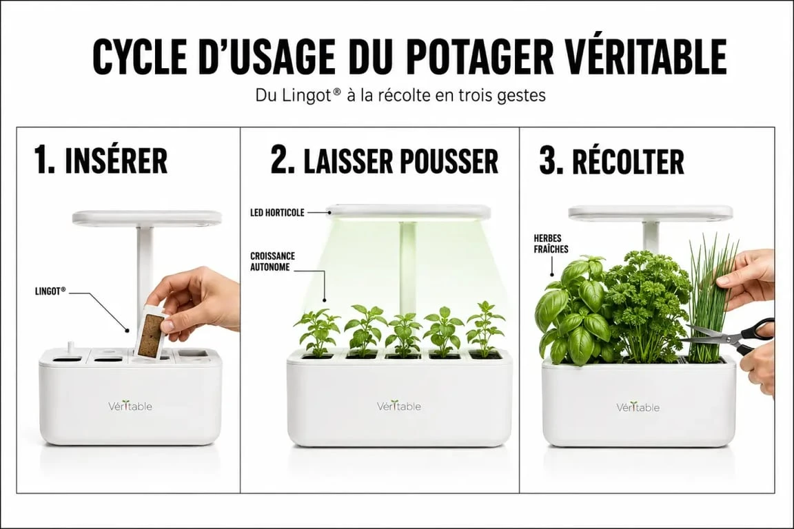 Cycle du veritable potager Véritable : insérer un Lingot®, laisser pousser, puis récolter